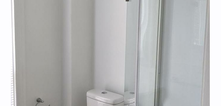 toilet and shower