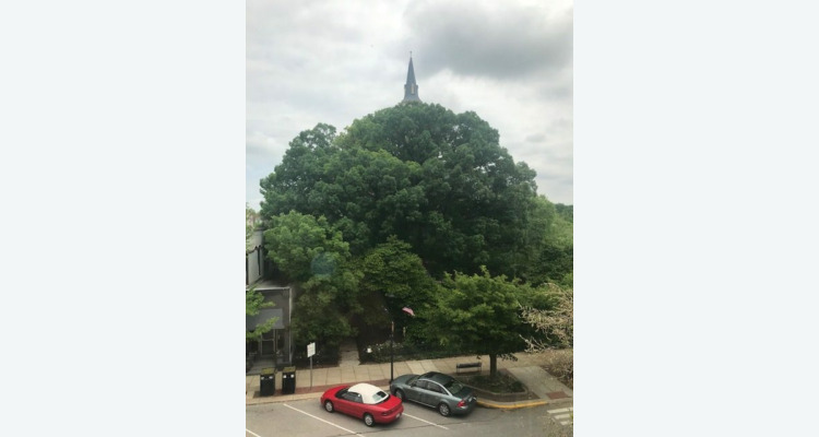 street view with park